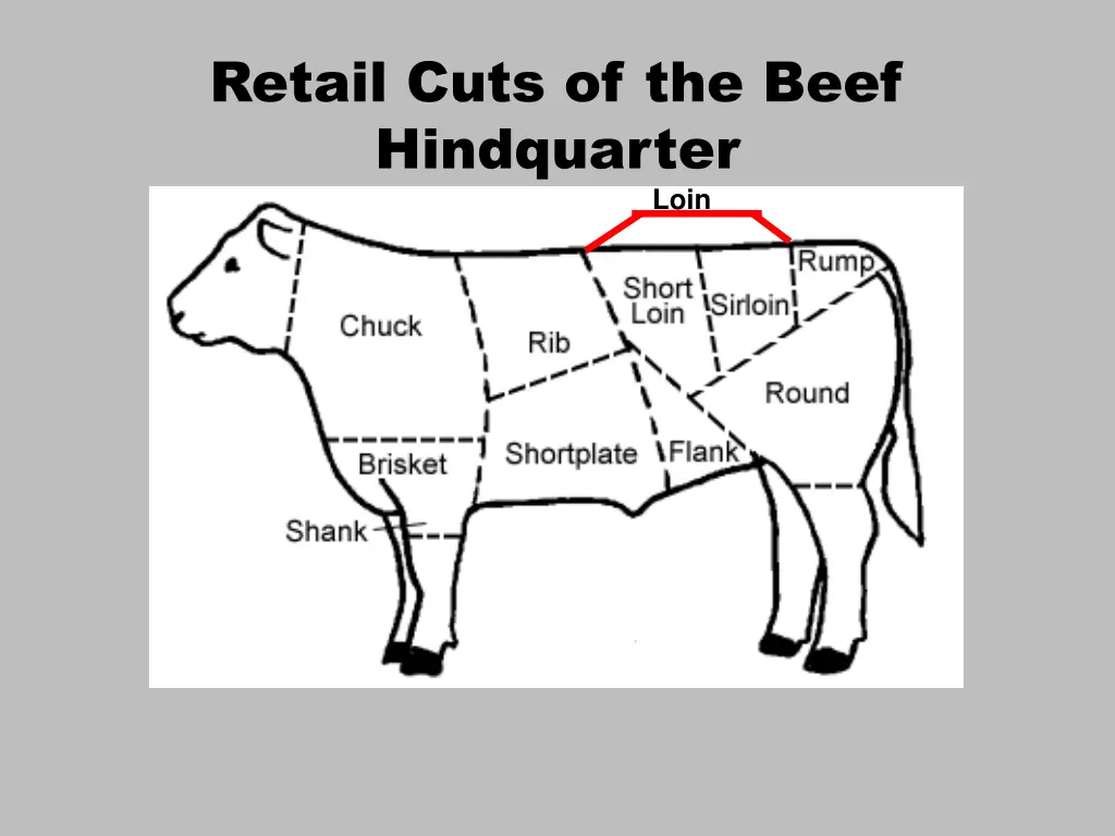 retail cuts of the beef hindquarter 1