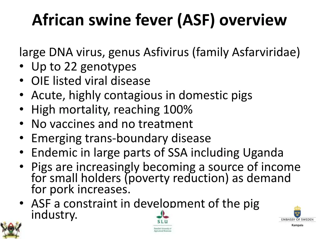 african swine fever asf overview