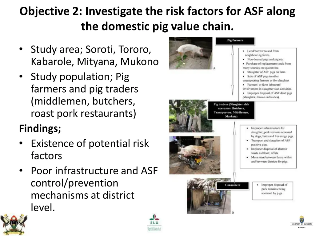 objective 2 investigate the risk factors