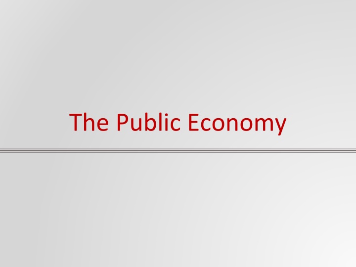 the public economy