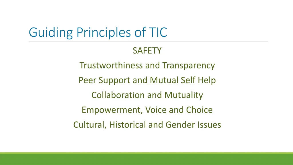 guiding principles of tic