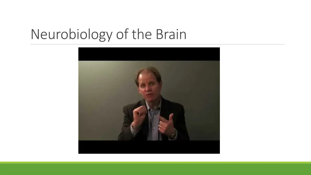 neurobiology of the brain