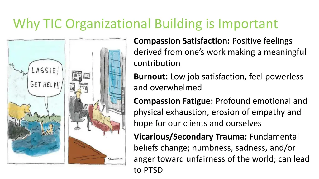 why tic organizational building is important