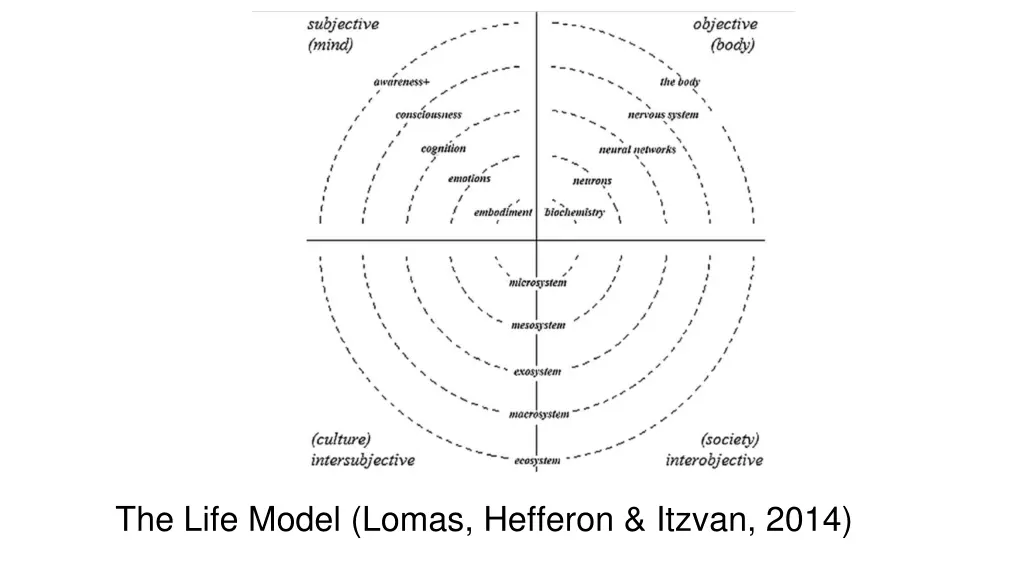 the life model lomas hefferon itzvan 2014