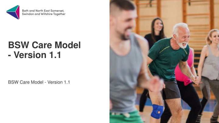 bsw care model version 1 1