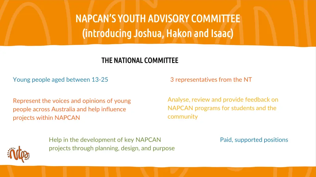 napcan s youth advisory committee napcan s youth