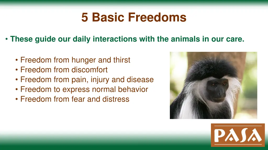 5 basic freedoms