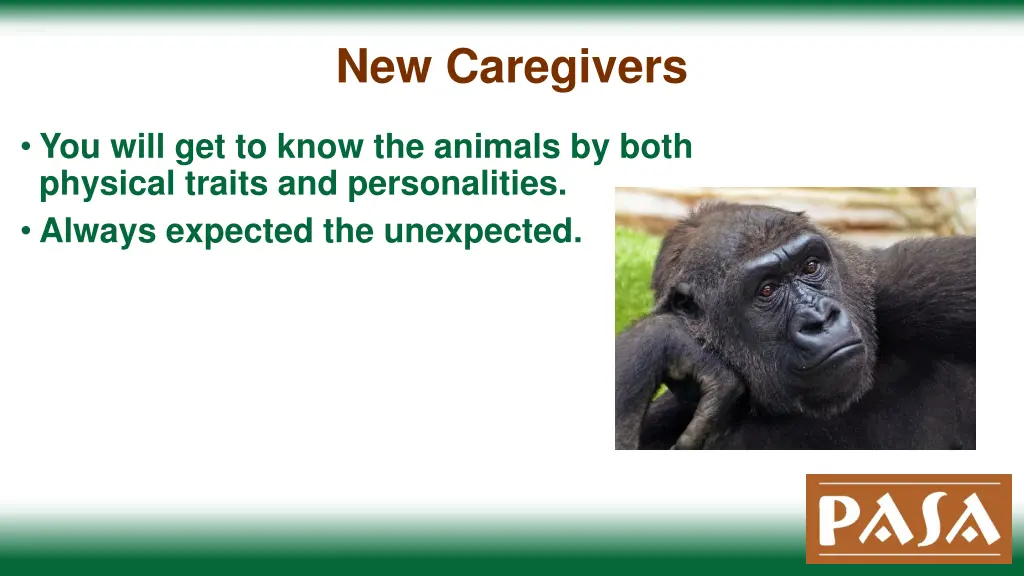 new caregivers