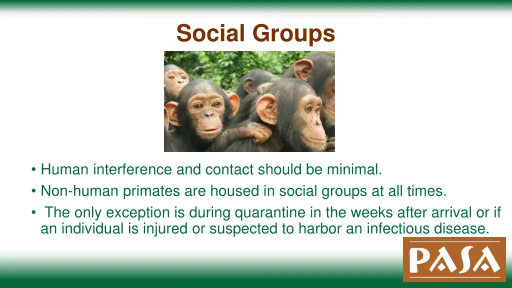 social groups