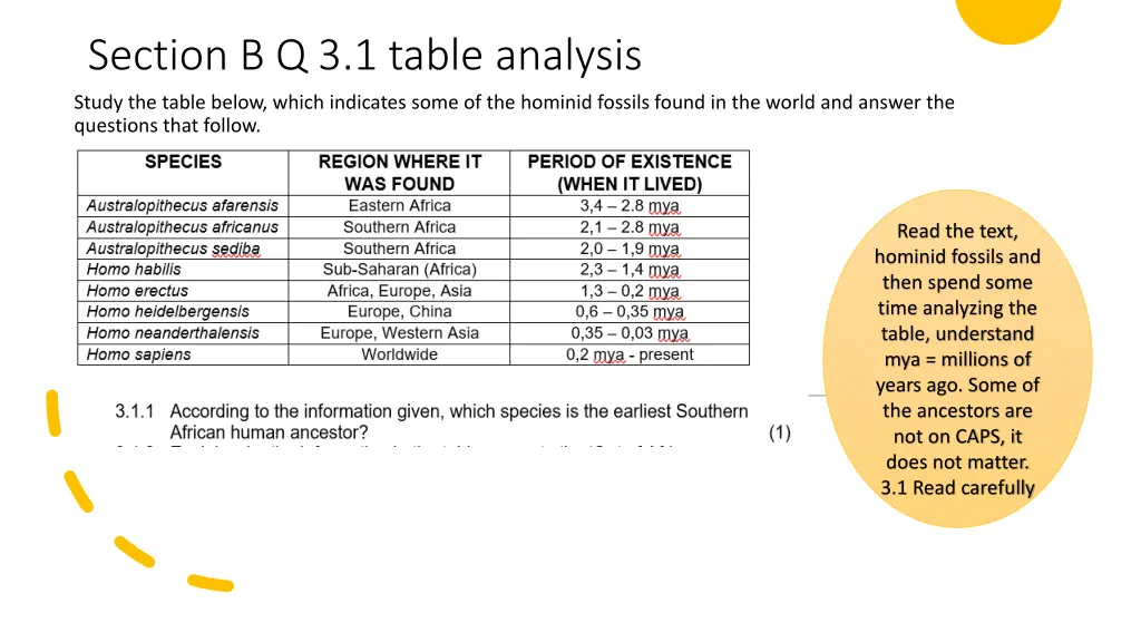 section b q 3 1 table analysis