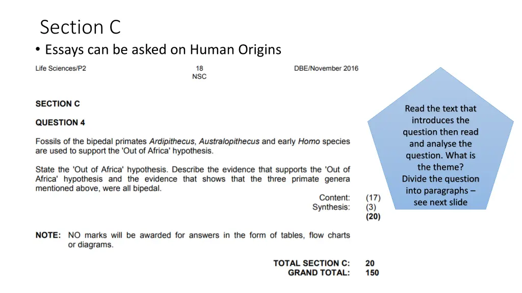 section c essays can be asked on human origins