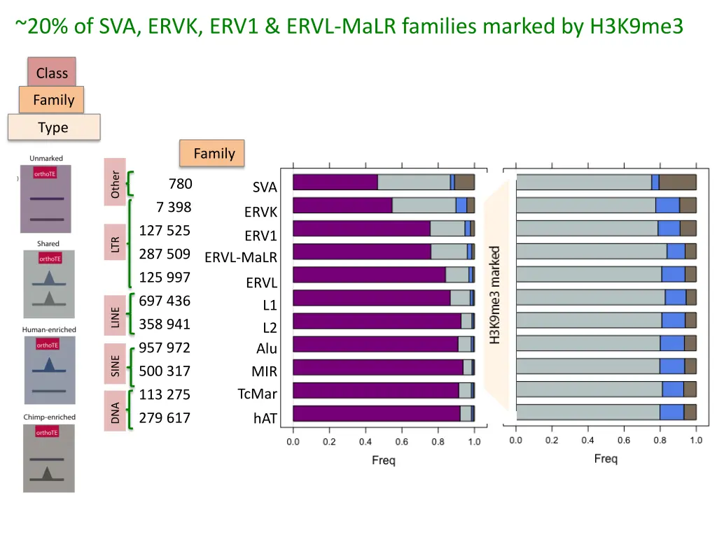 20 of sva ervk erv1 ervl malr families marked