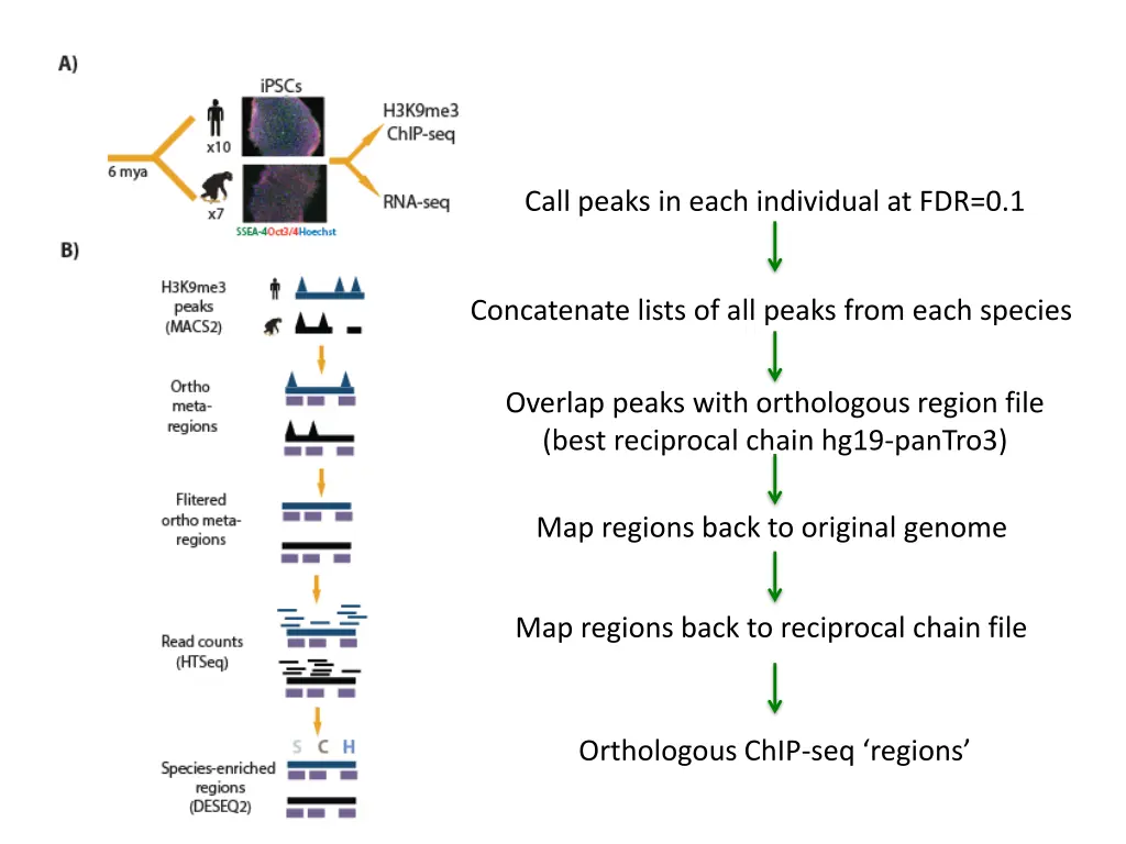 call peaks in each individual at fdr 0 1