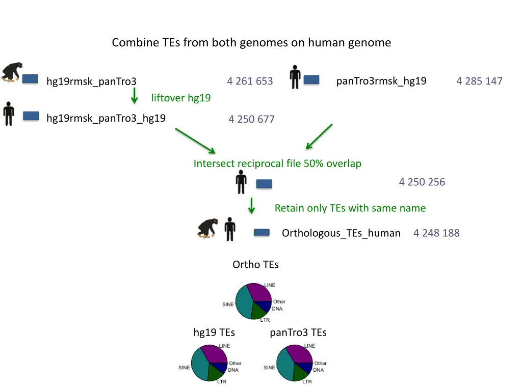 combine tes from both genomes on human genome