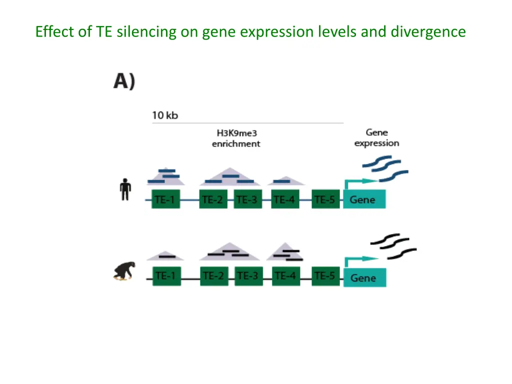 effect of te silencing on gene expression levels