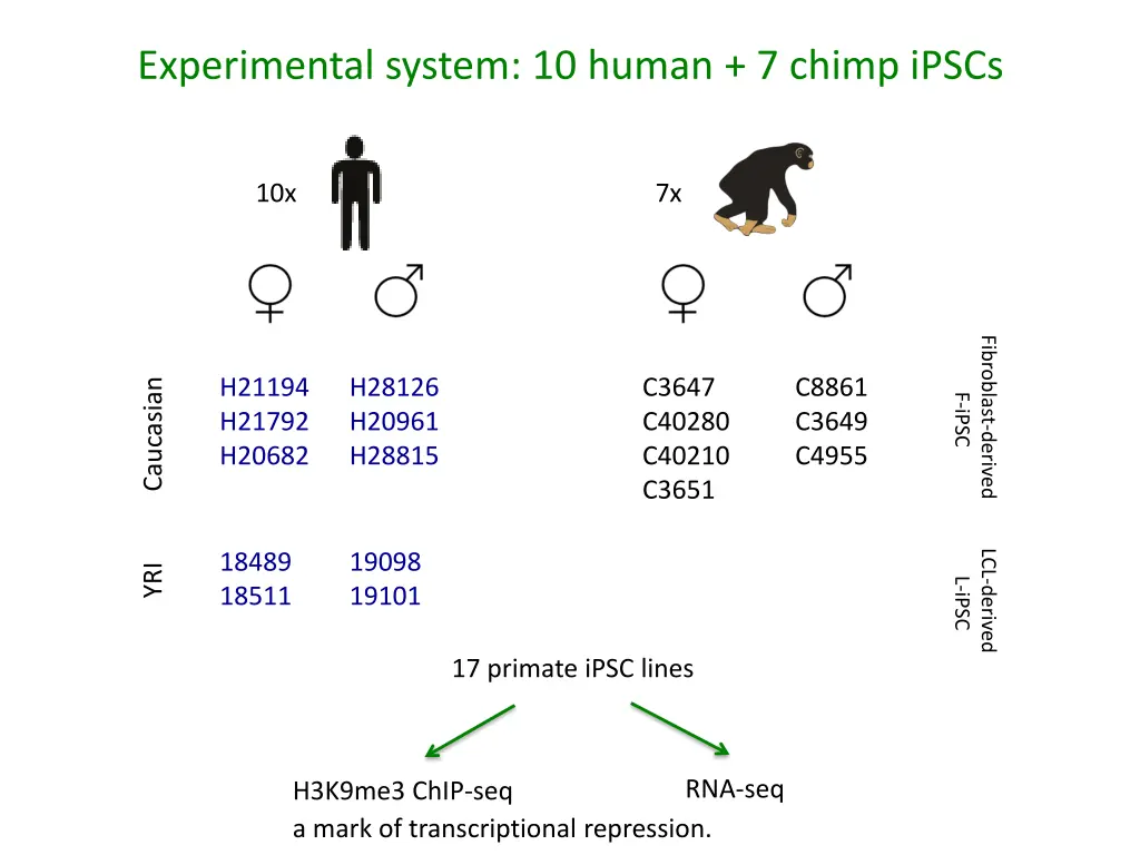 experimental system 10 human 7 chimp ipscs