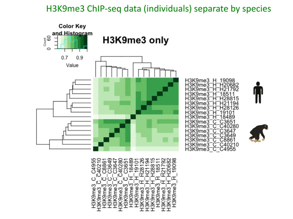 h3k9me3 chip seq data individuals separate