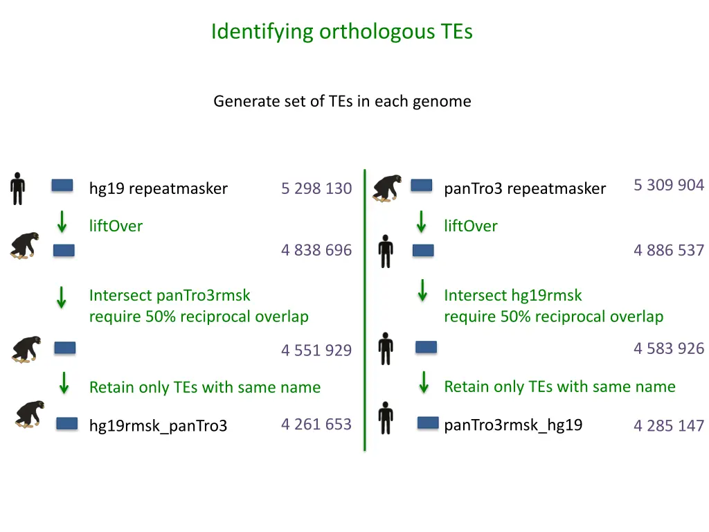 identifying orthologous tes