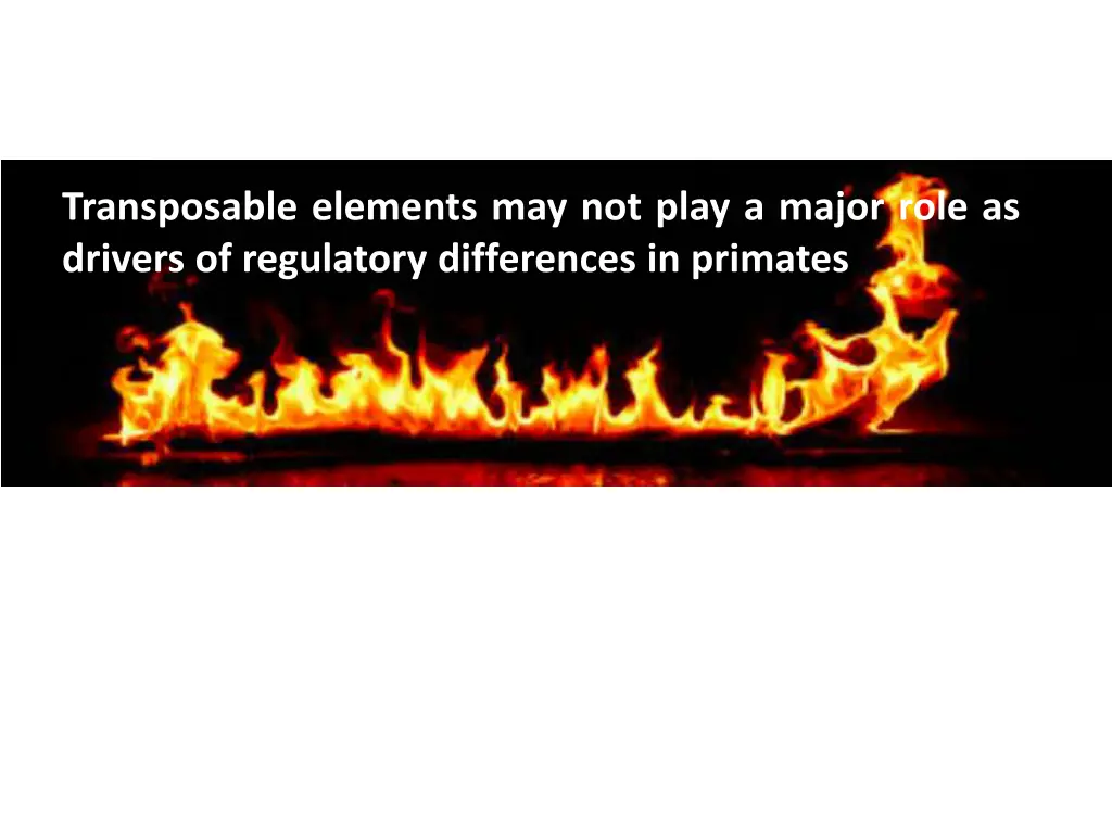 transposable elements may not play a major role 1