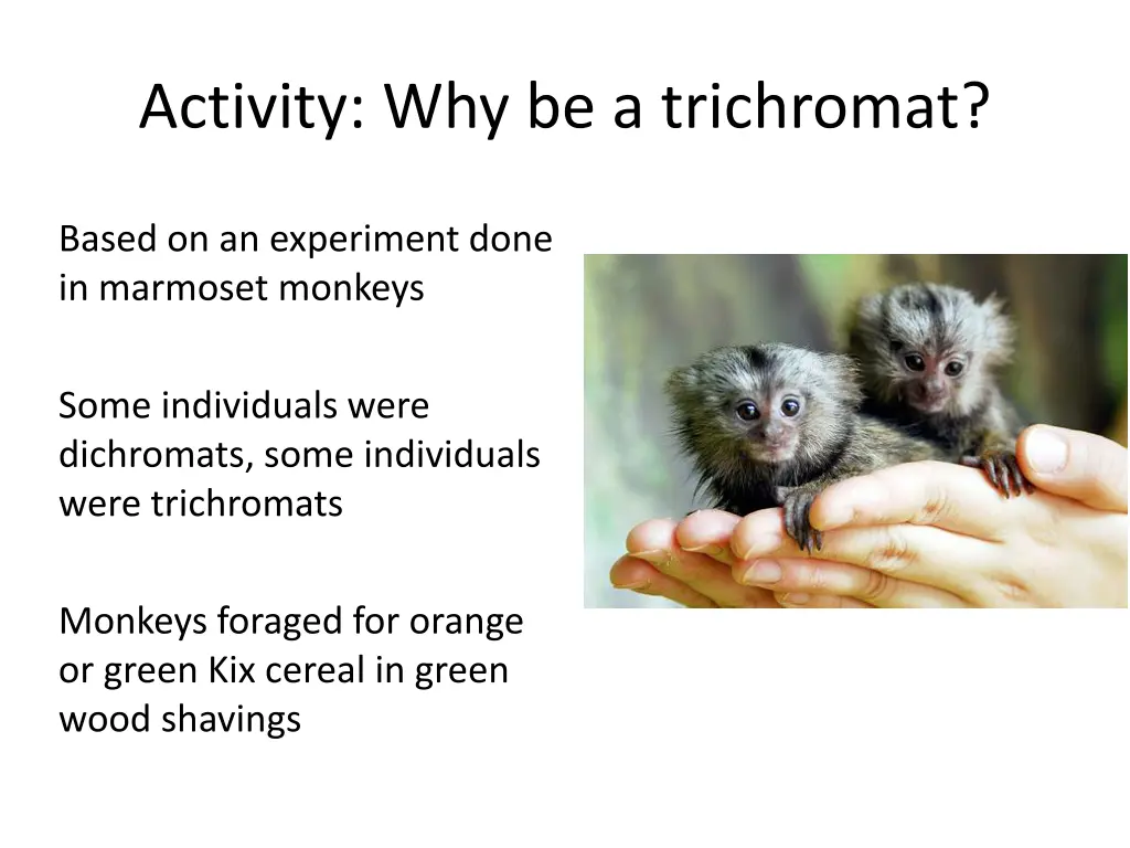 activity why be a trichromat 3