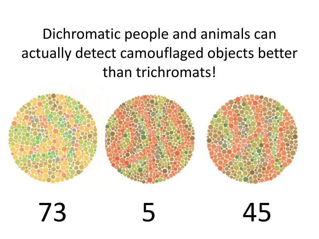 dichromatic people and animals can actually