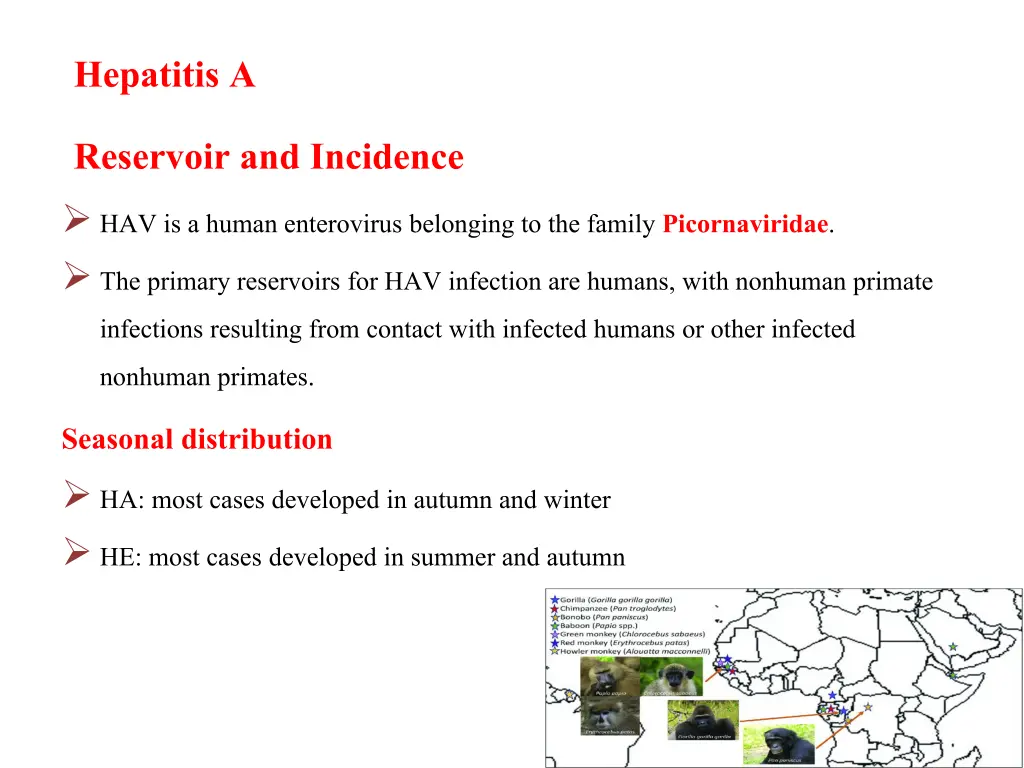 hepatitis a reservoir and incidence