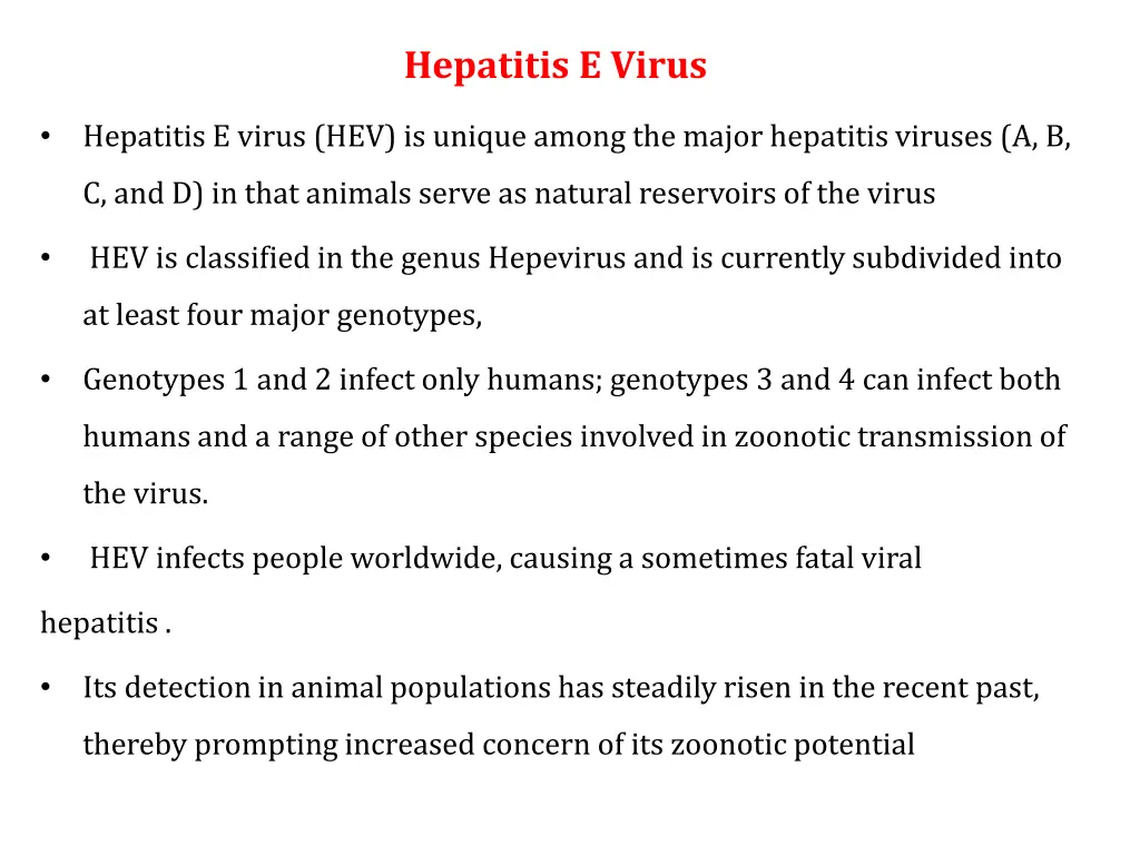 hepatitis e virus