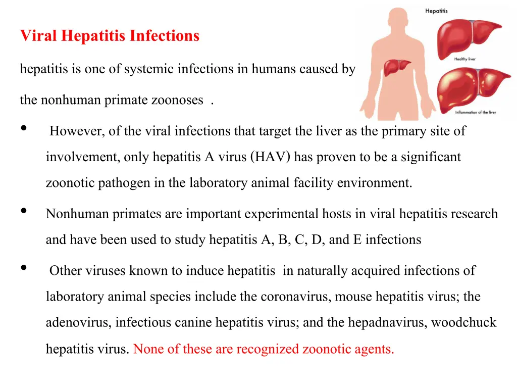 viral hepatitis infections hepatitis