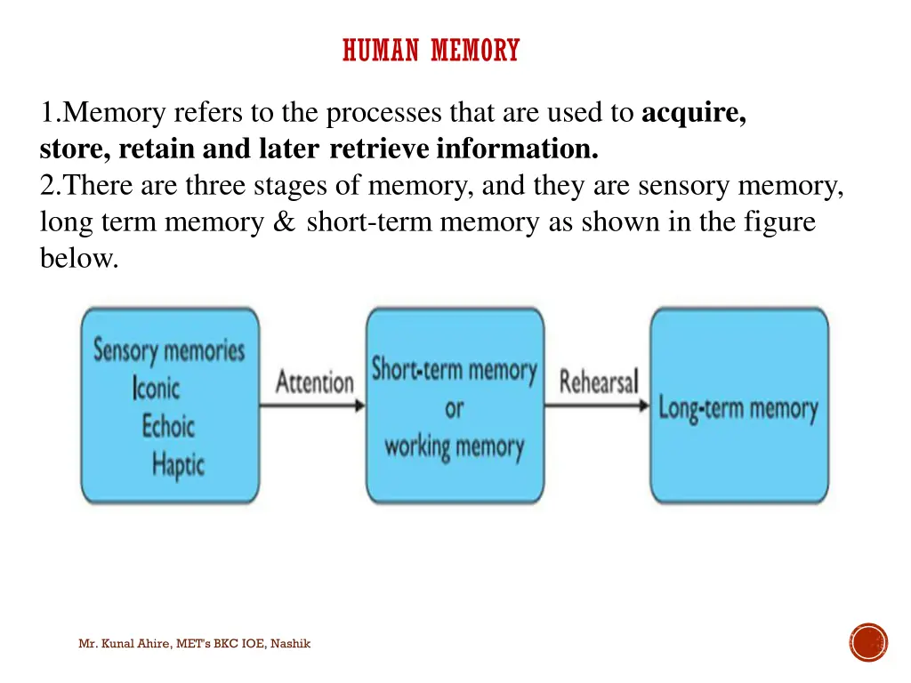 human memory