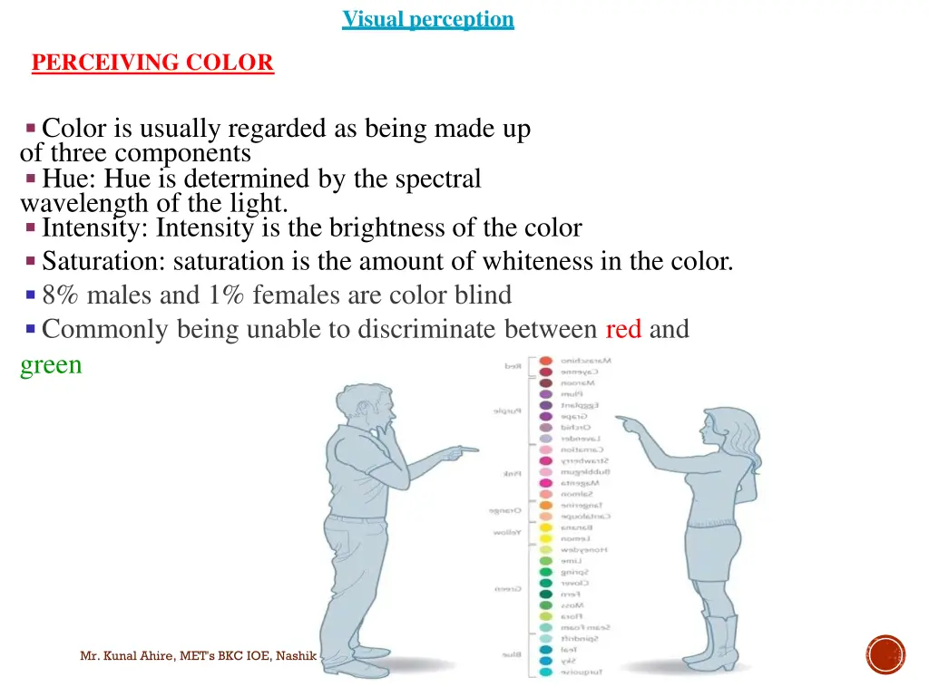 visual perception