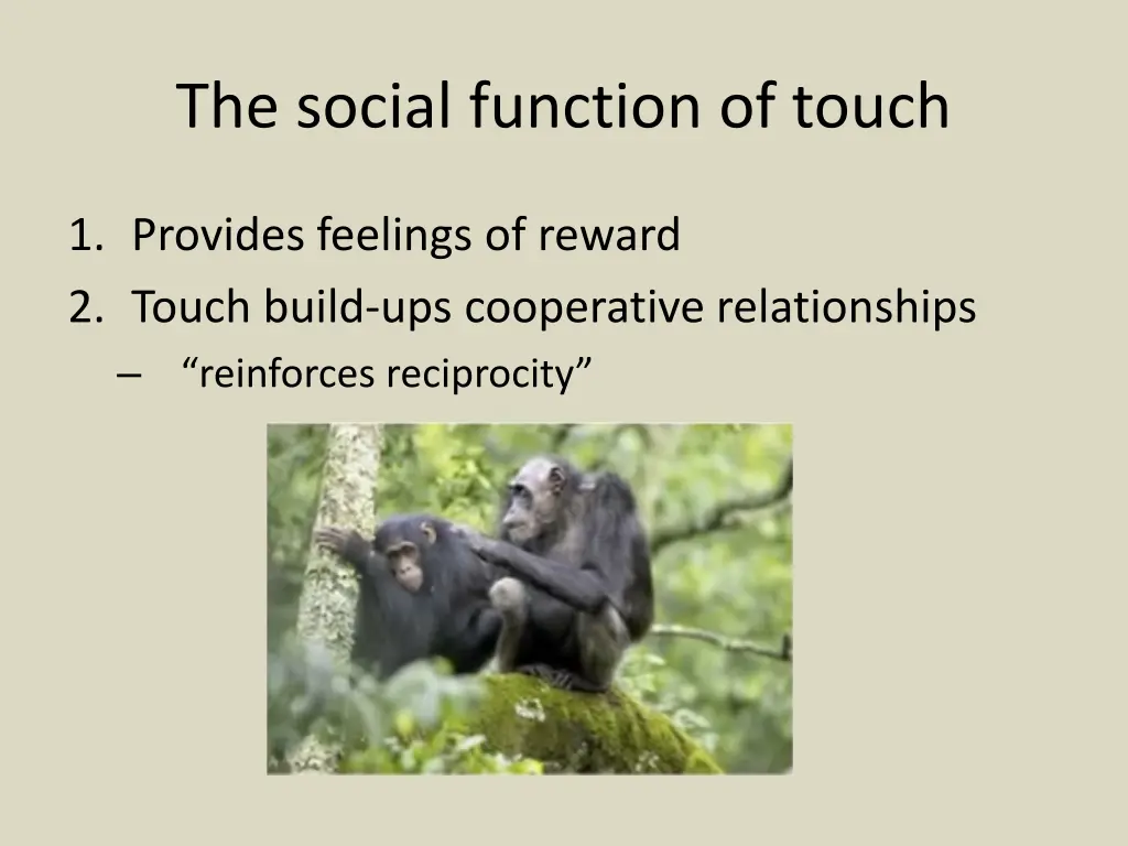 the social function of touch