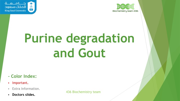 purine degradation and gout