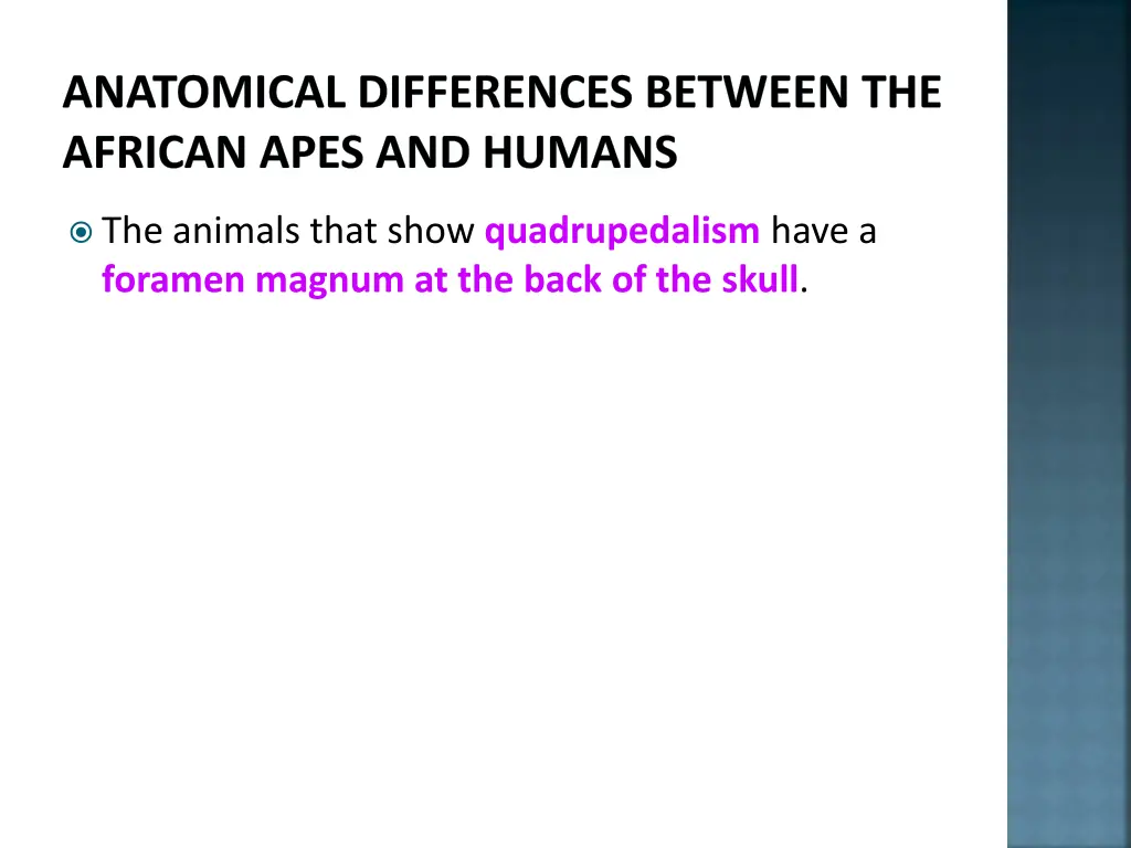 anatomical differences between the african apes 3