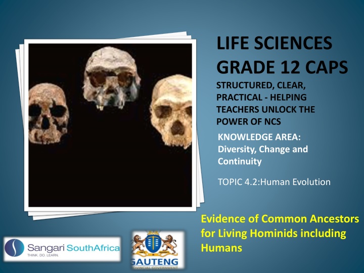 life sciences grade 12 caps structured clear