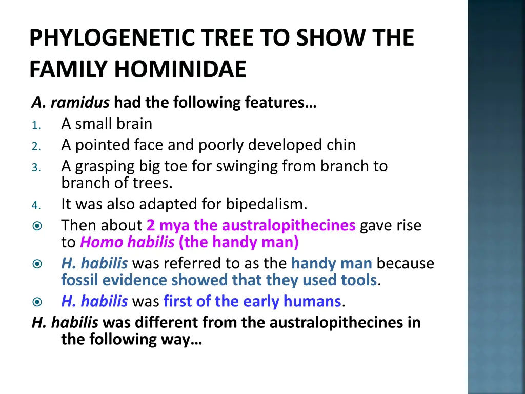 phylogenetic tree to show the family hominidae 10