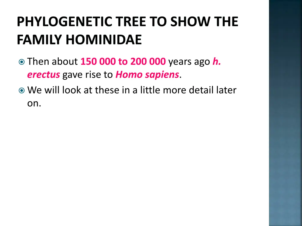 phylogenetic tree to show the family hominidae 13