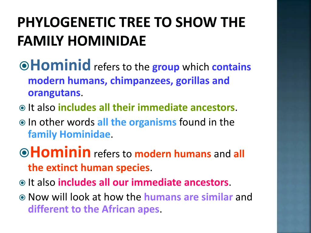 phylogenetic tree to show the family hominidae 2