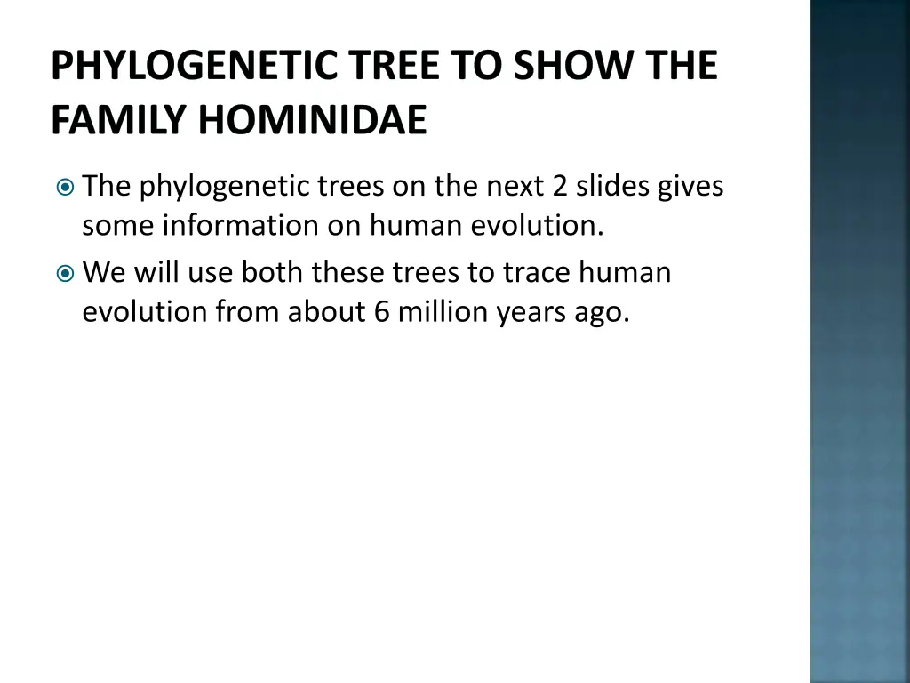 phylogenetic tree to show the family hominidae 4