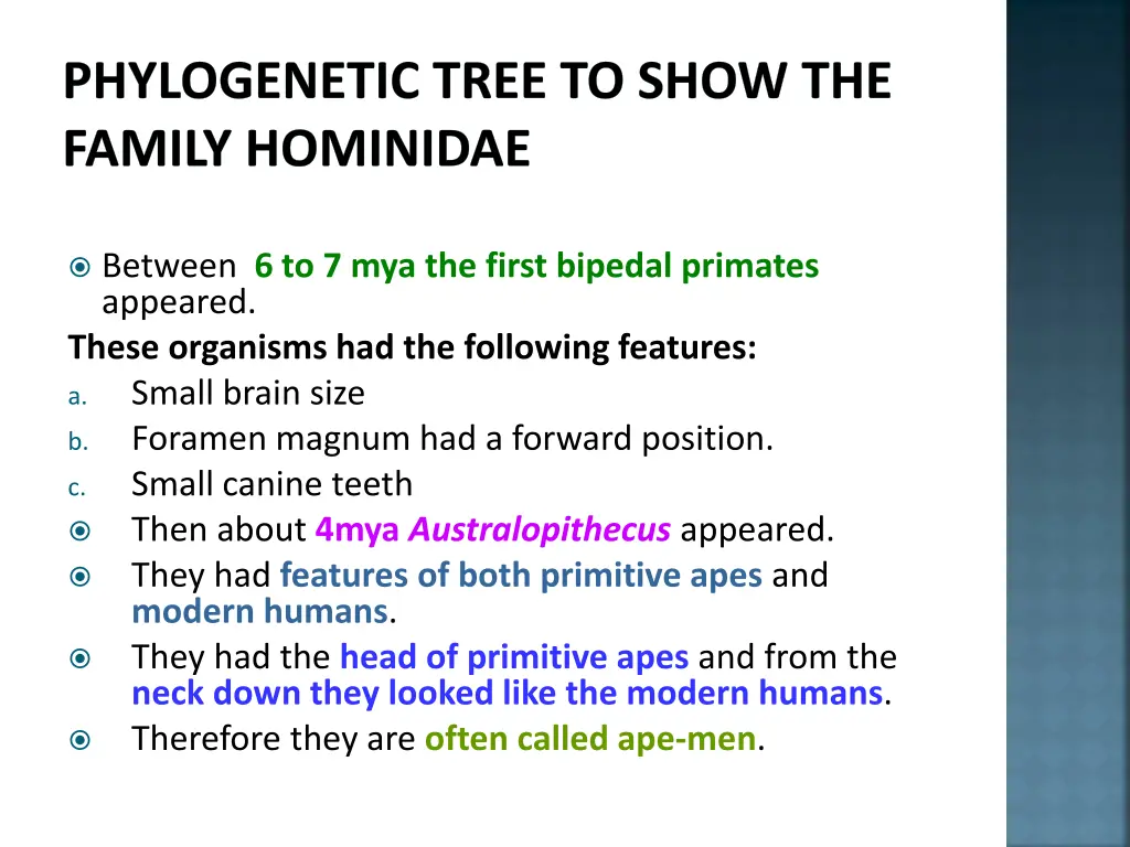 phylogenetic tree to show the family hominidae 7