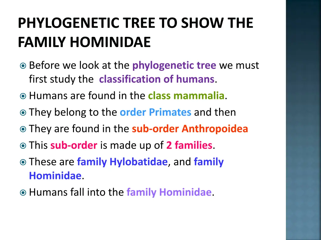 phylogenetic tree to show the family hominidae