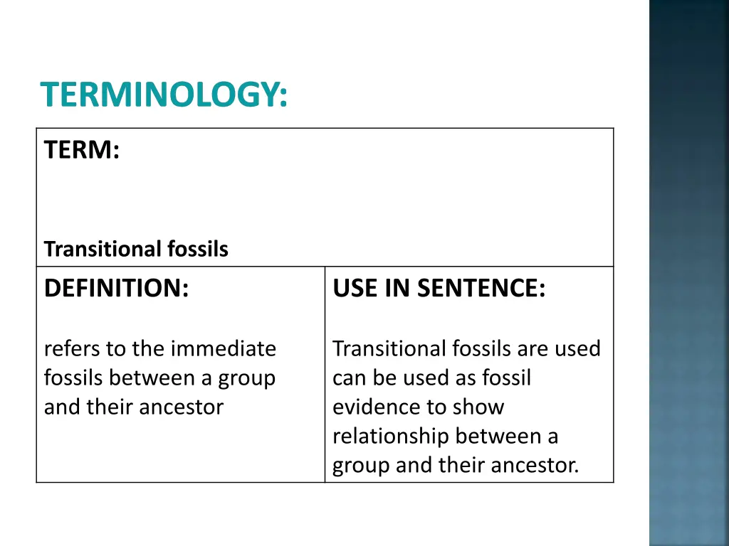 terminology 2