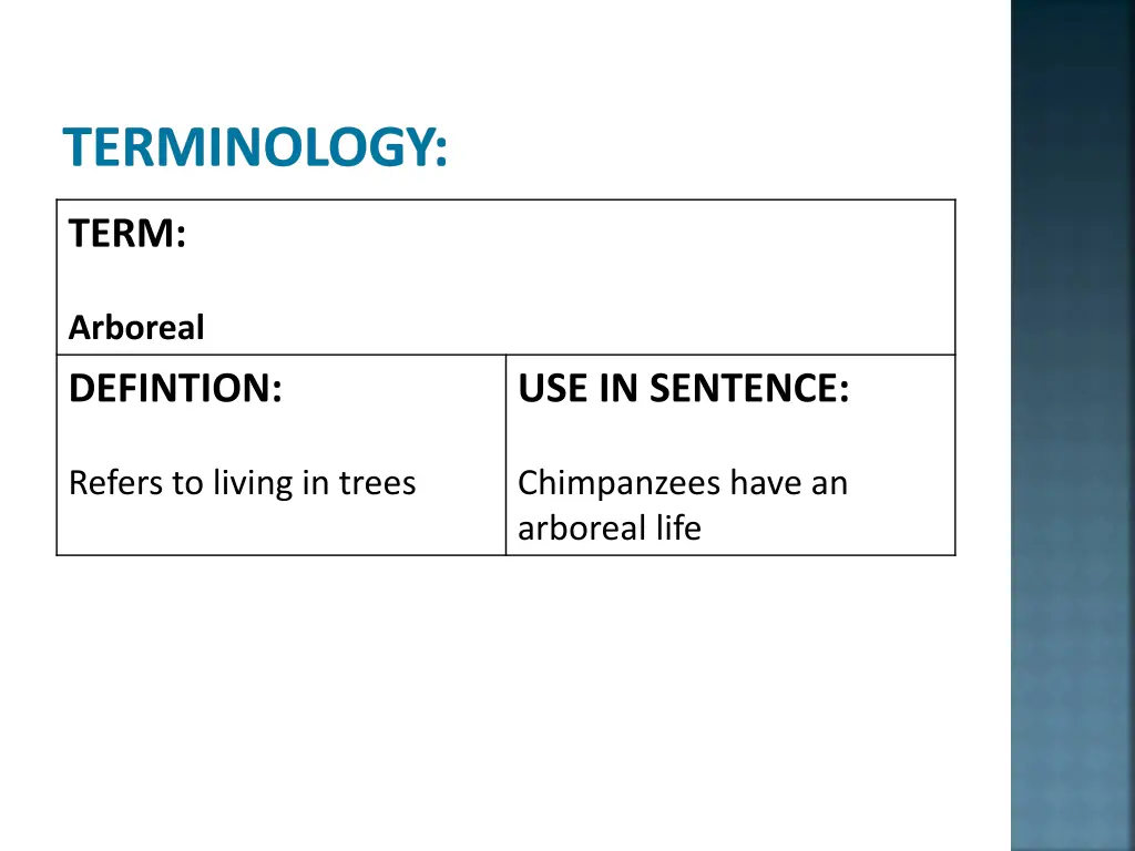 terminology 3