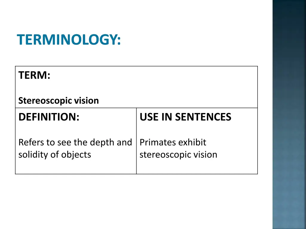 terminology 4