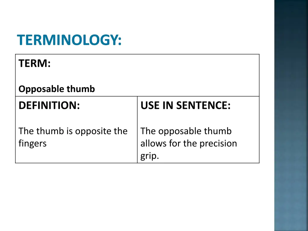 terminology 6