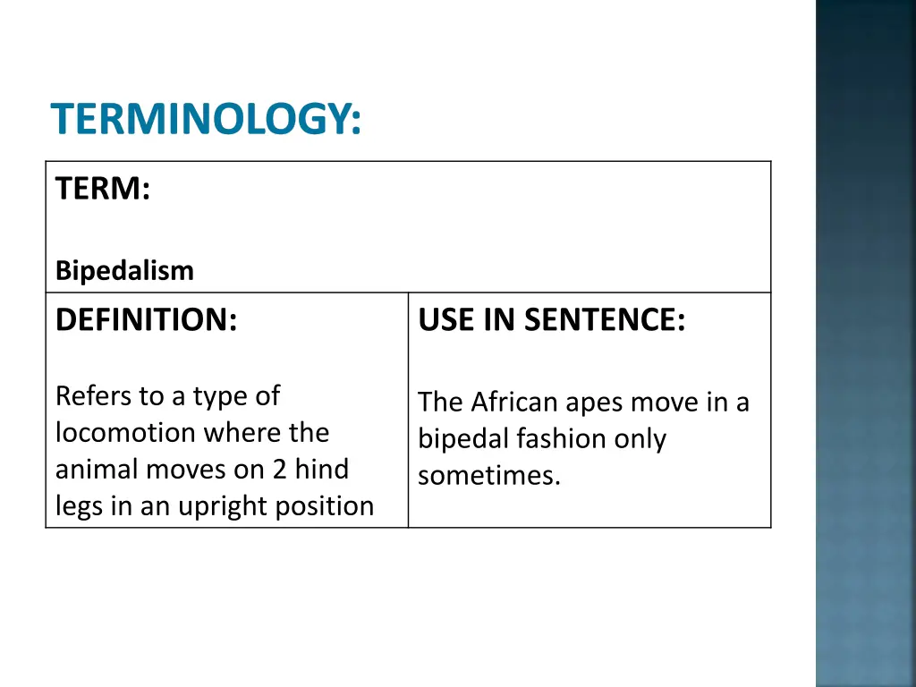 terminology 7