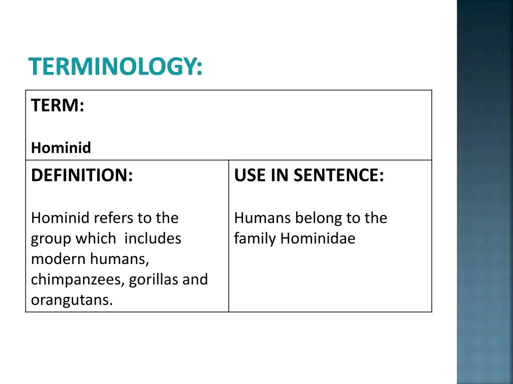 terminology