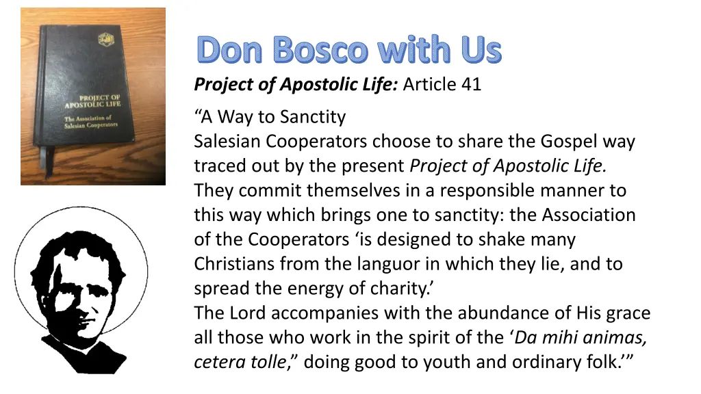 don bosco with us project of apostolic life