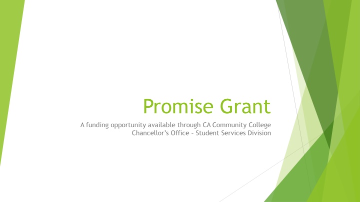 promise grant a funding opportunity available