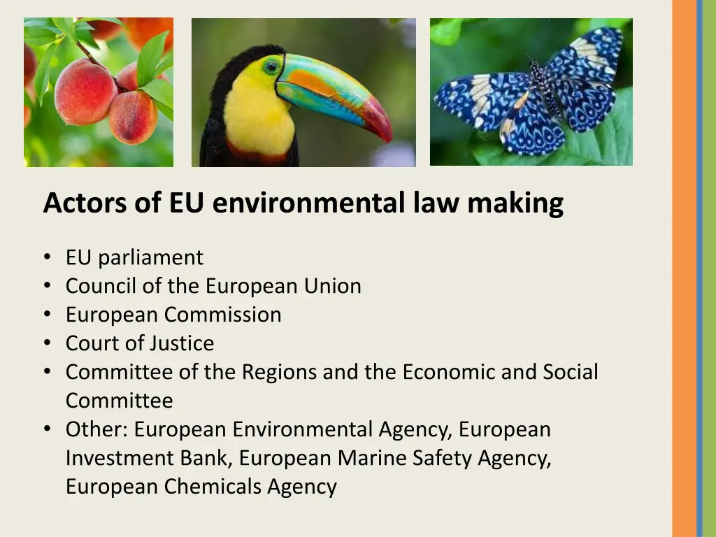 actors of eu environmental law making