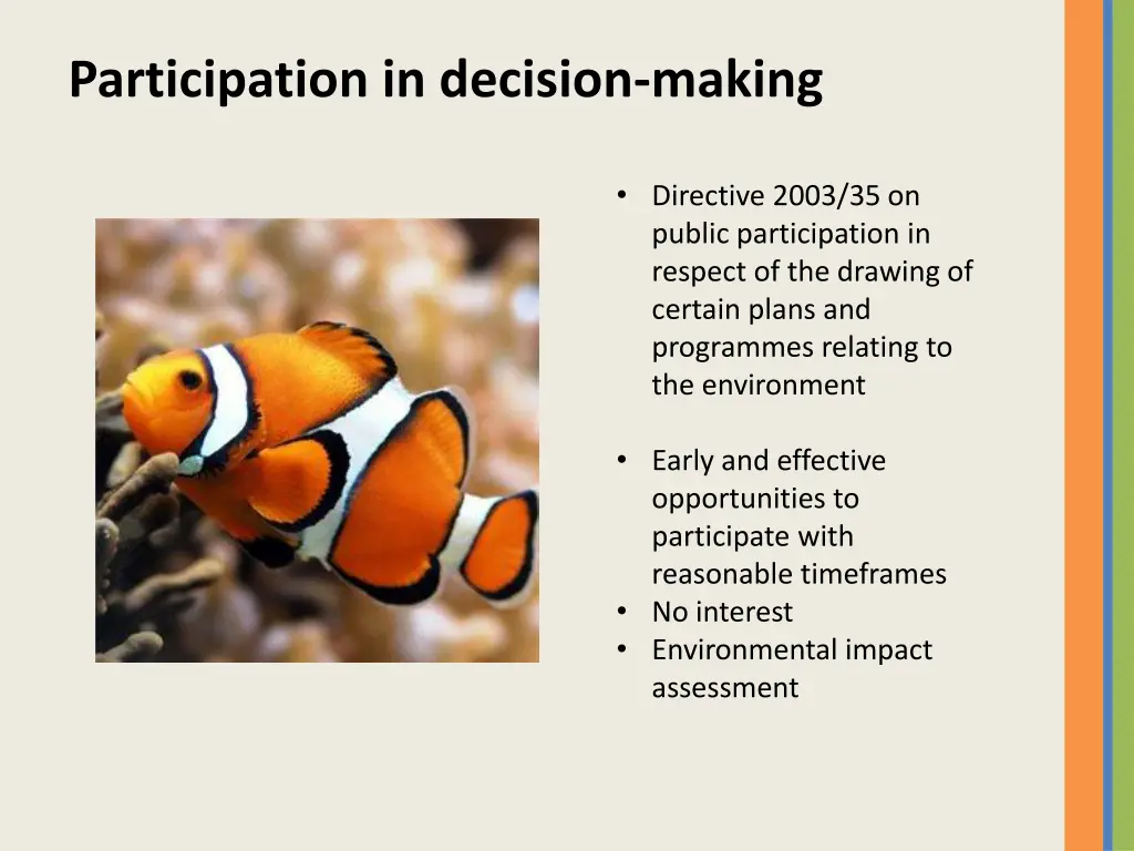 participation in decision making